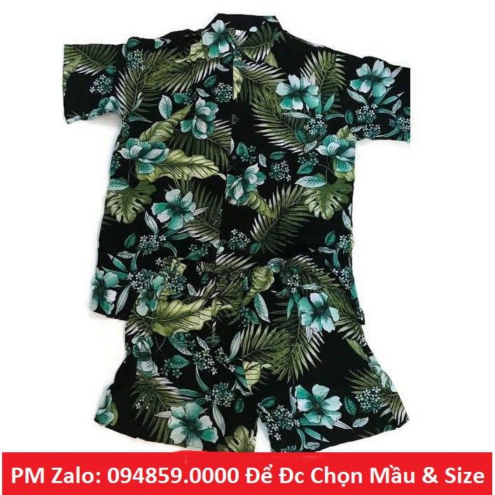 Bộ Lanh Hoa Cỏ