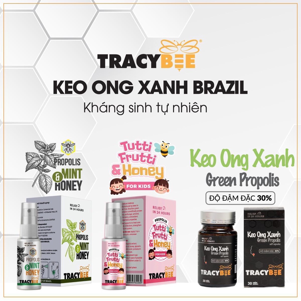 Sỉ combo 5 hộp keo ong xanh tracybee hương vị bạc hà hộp 30ml