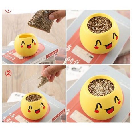 Chậu cây cảnh mini hình mặt cười đáng yêu, Emojji con lắc lò xo, tặng kèm đất và hạt giống cỏ tóc shop chaucaydep