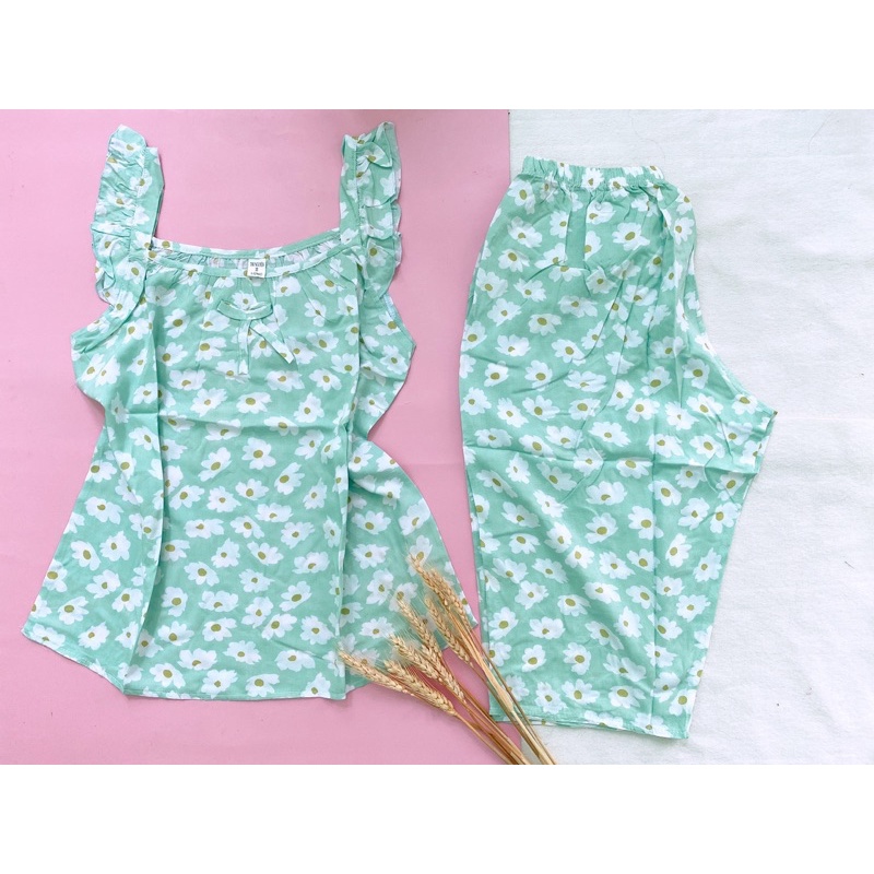 BỘ LỬNG TOLE LANH 2 DÂY BẢN CÁNH TIÊN 47-79kg