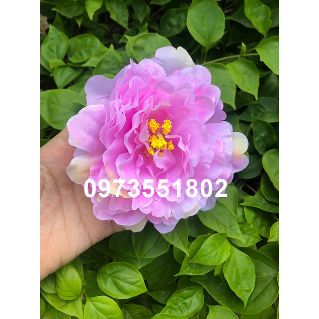 Đầu bông mẫu đơn trang trí size lớn