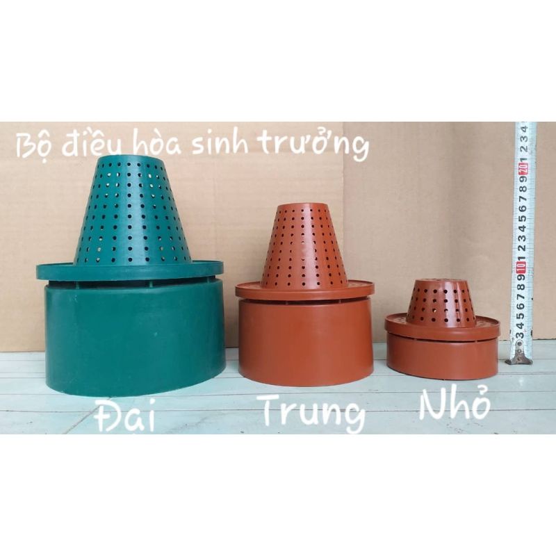 BỘ CỐC ĐIỀU HÒA SINH TRƯỞNG CHĂM LAN- CỠ TRUNG