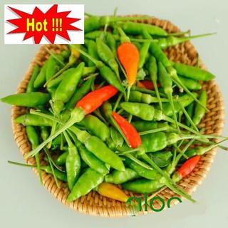 Hạt giống Ớt Xiêm (0.4g)