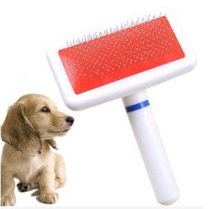 Phụ kiện chó mèo_lược chải lông (màu trắng - không hộp) - Clean Pet