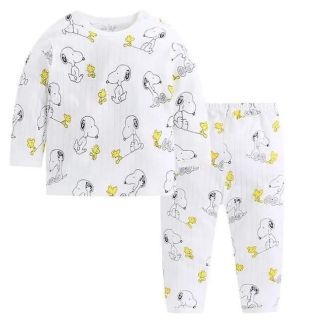Bộ cotton giấy qc
