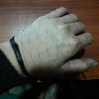 Lưới bẫy chim chào mào, cu ri, cu thái,sẻ...