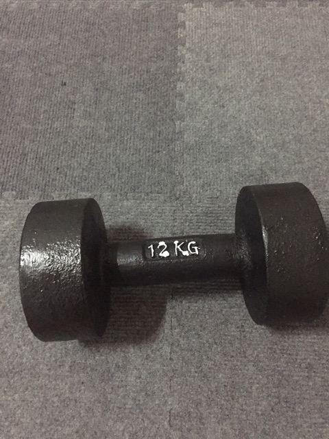 Bộ 1 tạ tay 12kg