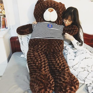 Gấu bông gấu teddy khổ vải 1m8 cao 1m6