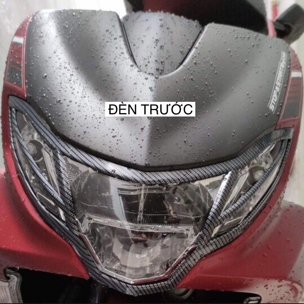 Ôp Xe Freego, Freego S 2019-2023 Carbon, Phụ Kiện Trang Trí xe Freego cacbon