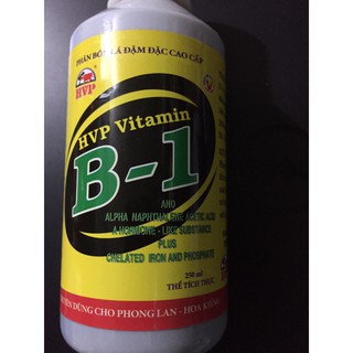 Vitamine B1 HVP - 250ml