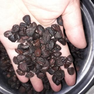 Hạt rổi nếp.