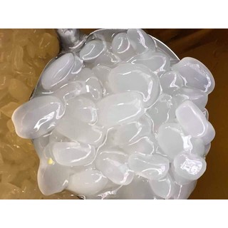 THỐT NỐT THÁI LAN LON 500GRAM