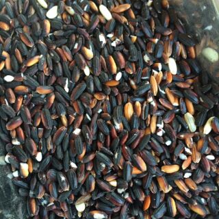 [FREESHIP TỪ 99K] Gạo nếp cẩm đb 1kg