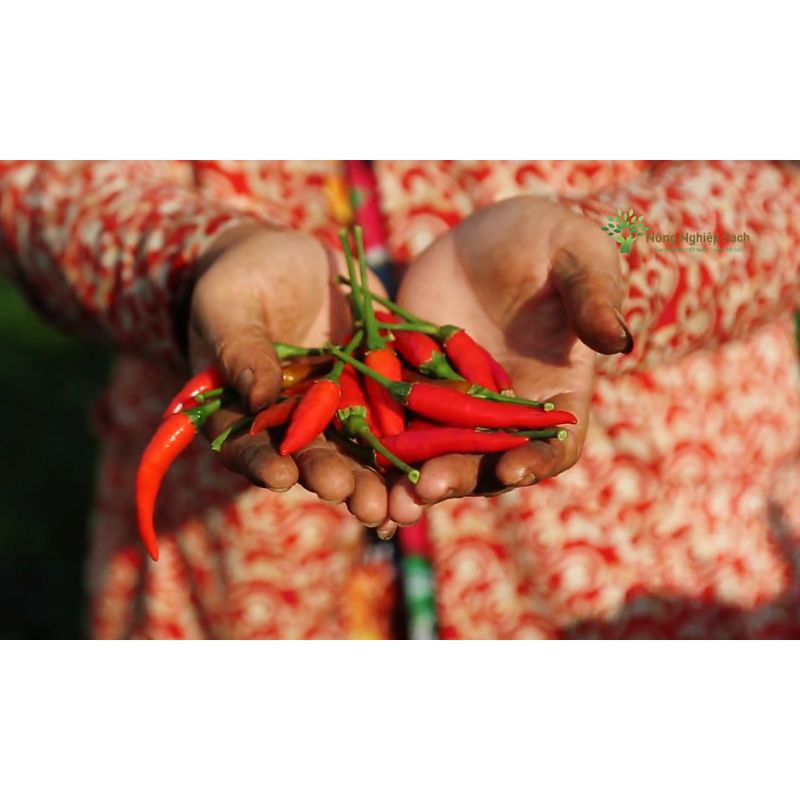 (1kg) Muối ớt Đồng Tháp | BigBuy360 - bigbuy360.vn