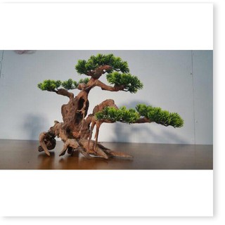 Lũa Bonsai Lá Nhựa - Trang Trí Bể Cá - lũa trang trí  - [ Xưởng Thủy Sinh TS Online37 ]
