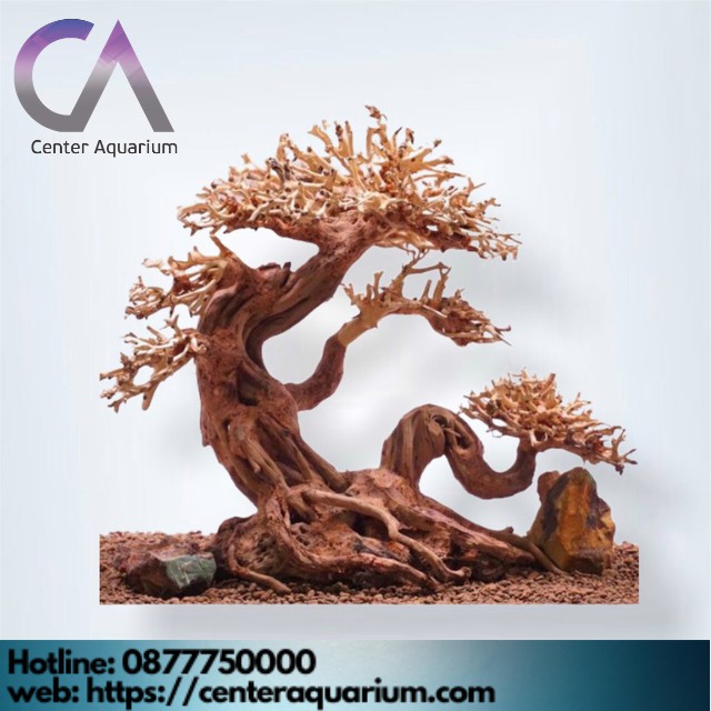Lũa Bonsai Mini Trang Trí Bể Cá - Bể Thủy Sinh