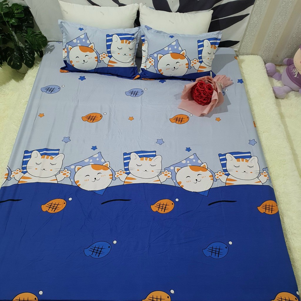 SET 4 MÓN CHĂN HÈ TRẦN BÔNG KÈM GA GỐI COTTON POLY MẪU MÈO CÁ XANH( ĐỦ KÍCH THƯỚC)