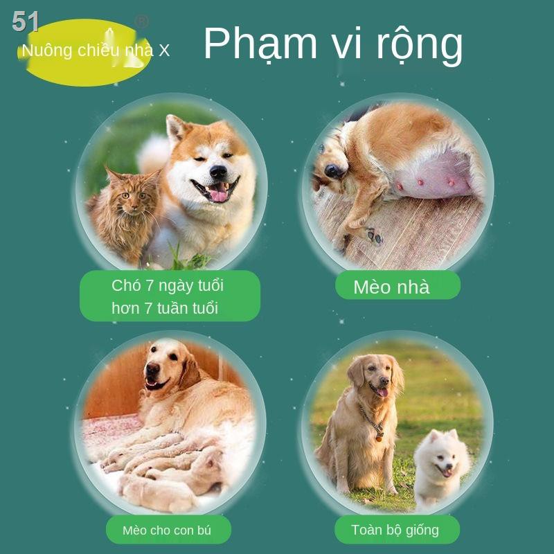 Thuốc trị bọ chét Liqing dành cho chó, mèo, vật nuôi, diệt trong ống nghiệm, ve, rận và côn trùng gia đìnhP