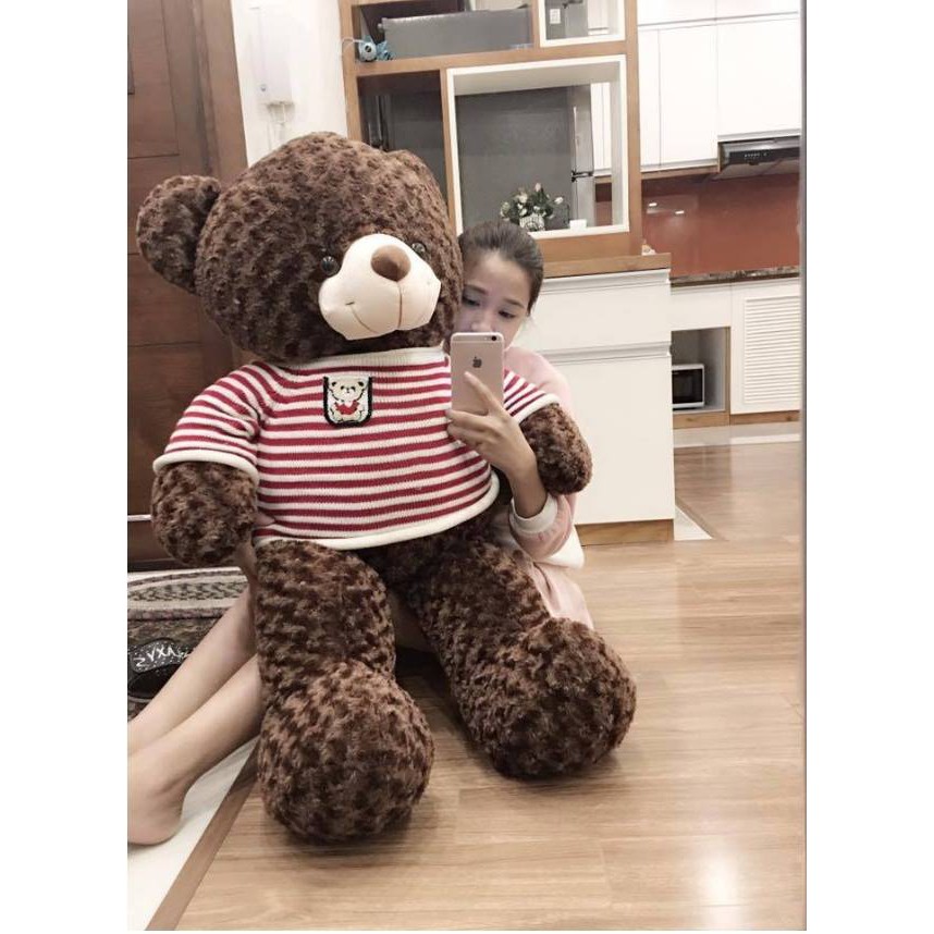 Gấu bông Teddy size bự 1m1-1m7