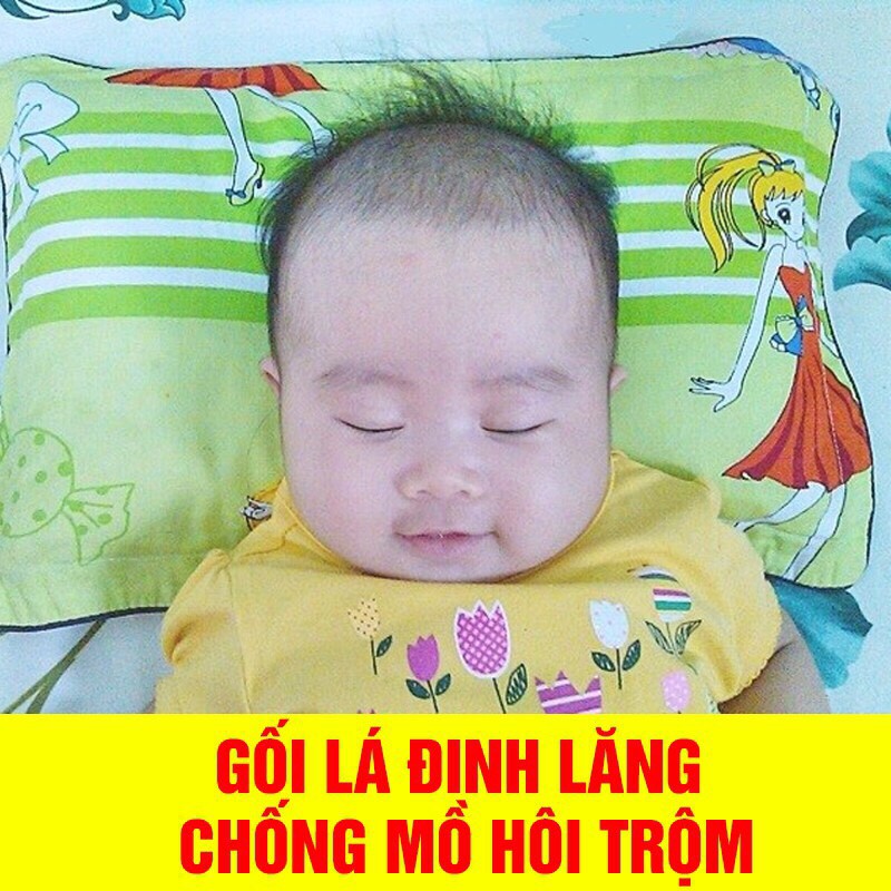 Gối lá Đinh Lăng chống mồ hôi trộm cho bé