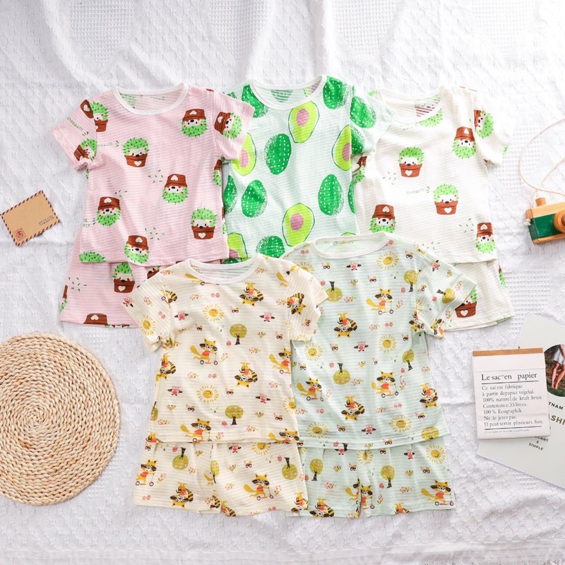 Bộ afonso xuất Hàn cotton giấy hữu cơ