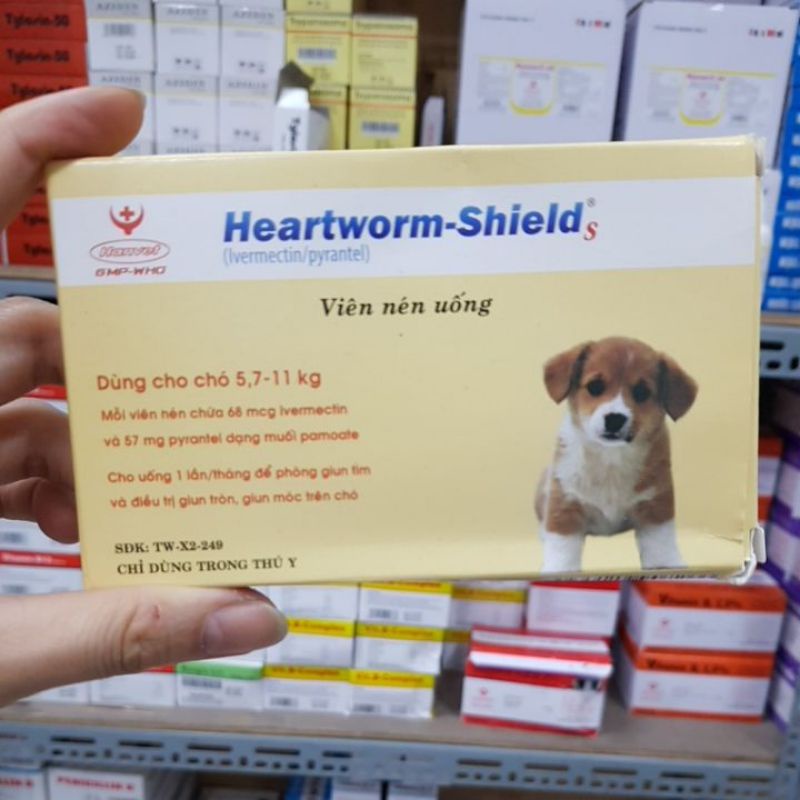 1 hộp 10 viên heartworm shield cho boss xinh hỗ trợ g.iun.tim