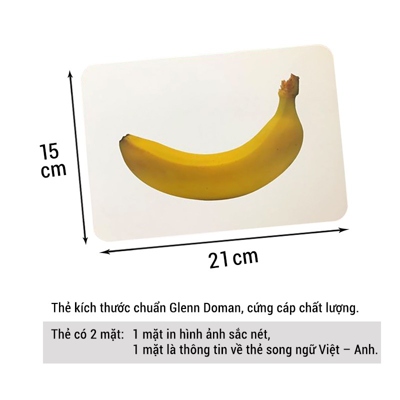 Combo Bộ Thẻ Học Thế Giới Xung Quanh + Đọc Chuẩn Flashcard Glenn Doman