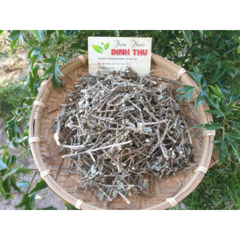 Cây Cỏ Xước - Cây Ngưu Tất Nam sấy khô
