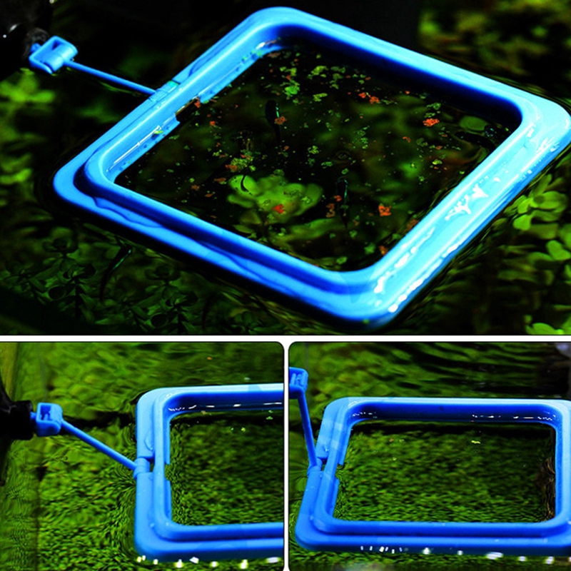 Khay đựng thức ăn cho cá cảnh dạng nổi dáng vuông hoặc tròn dành cho hồ cá