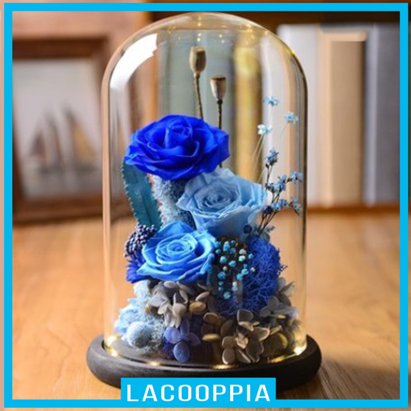 [LACOOPPIA]Decorative Glass Cloche Bell Jar Dome with Wooden Base Display Decor_Brown A