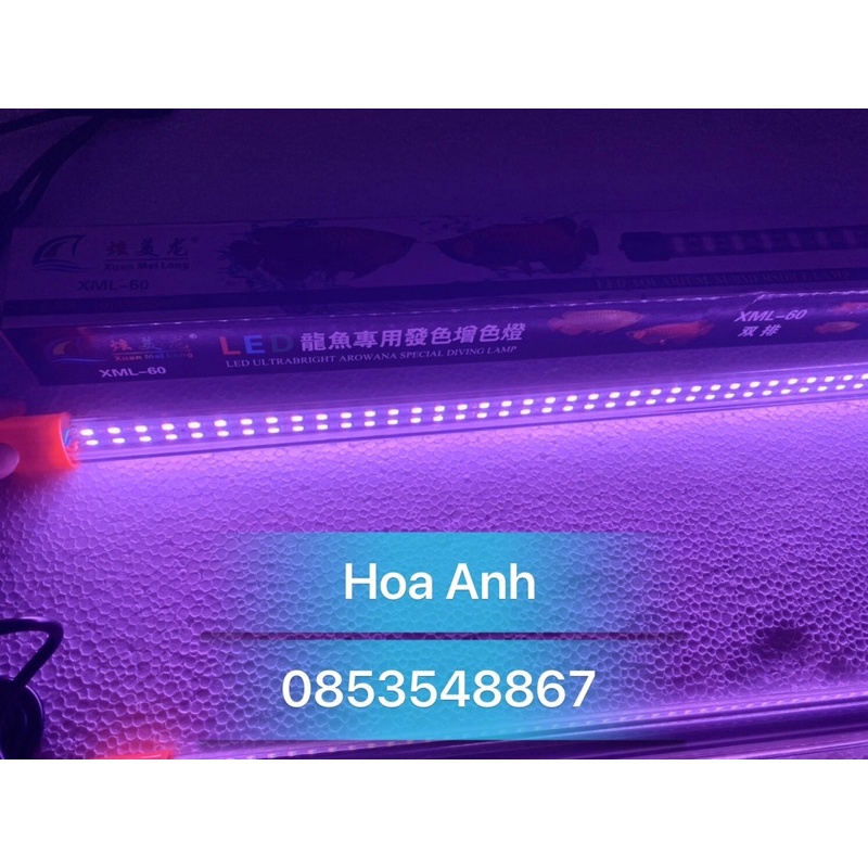 [HOẢ TỐC] Đèn Led Xuanmeilong Thủy Tinh 2 Hàng Bóng - XML Không Làm Nhiễm Màu Nước