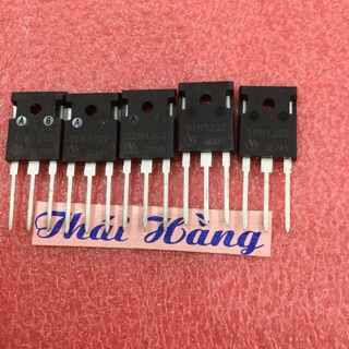 Đèn công suất 30 N 1202 (1 chiếc)