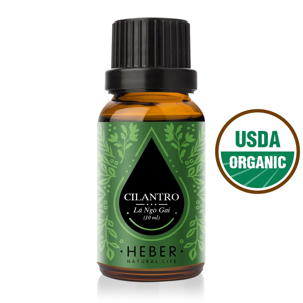 Tinh Dầu Mùi Già (Lá Ngò Gai) Heber- Cilantro Essential Oil, Cao Cấp Nhập Khẩu, Thiên Nhiên Nguyên Chất, 10ml/30ml/50ml