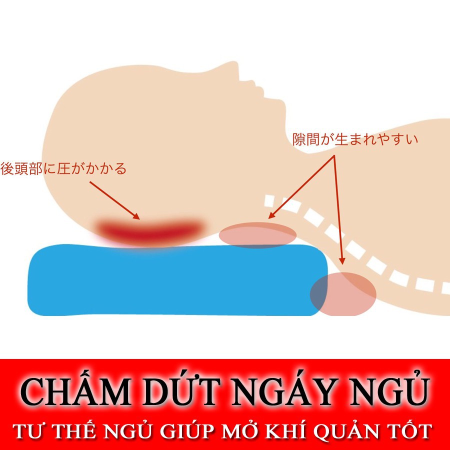 [Ảnh Thật] Gối Ngủ Nhanh Nhật Bản AIDA - Trị Mất Ngủ, Hết Ngủ Ngủ, Phòng Chống Thoái Hóa Đốt Sống Cổ, Huyết Áp Cao,