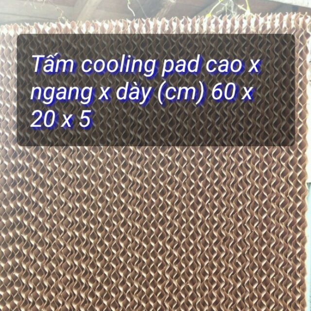 Combo 4 tấm làm mát Cooling pad 60*20*5