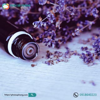 Tinh dầu Hoa Oải Hương 100ml (Lavender Essential Oil) | 100ml