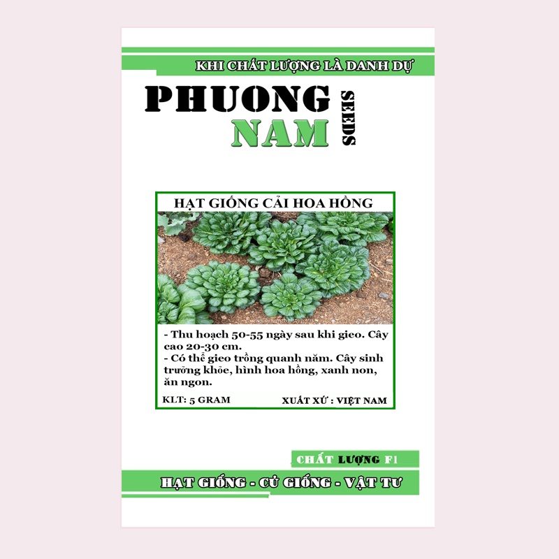 5GR - HẠT GIỐNG CẢI HOA HỒNG