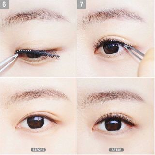 Lông mi chồn 3D cao cấp