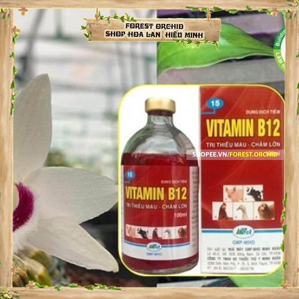 VITAMIN B12 Dung dịch phân bón giải độc, chống sốc phân, tái tạo tế bào cho cây Phong Lan