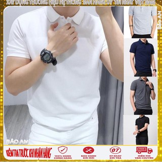 Áo phông nam cổ bẻ ngắn tay cao cấp ikemen