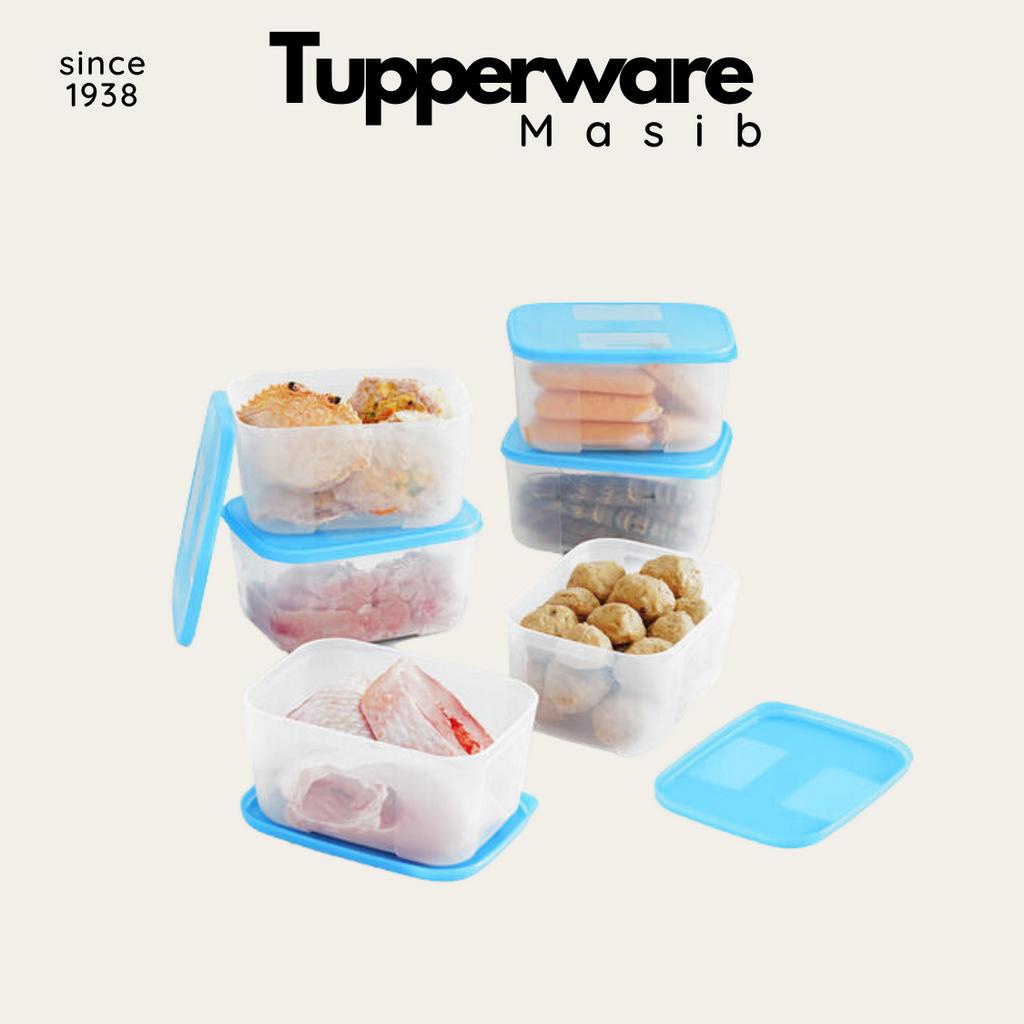 Bộ 6 Hộp Nhựa Nguyên Sinh Trữ Đông Freezermate 650ml Tupperware - An Toàn - Kín Mùi - Kín Khí