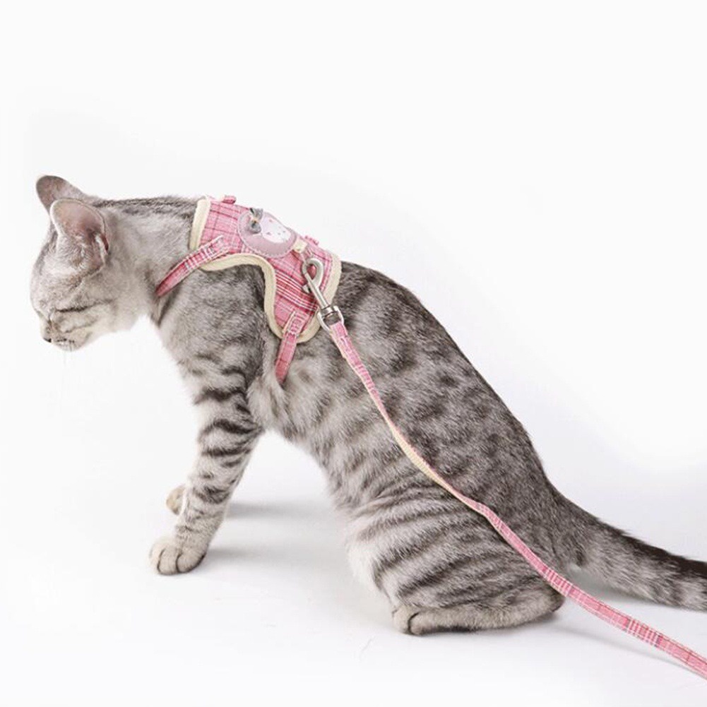 Dây Đeo Cho Thú Cưng Bằng Chất Liệu Nylon Phối Lưới