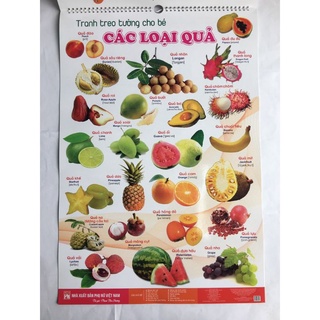 Bộ tranh song ngữ dạng cuốn lịch 6 tờ - 14 chủ đề chữ cái con vật hoa quả màu sắc treo tường cho bé