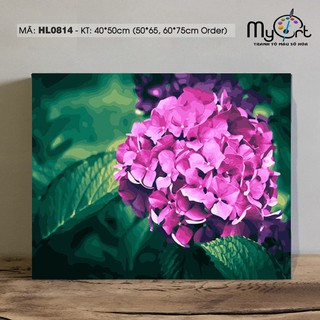 Tranh tô màu theo số HL0814 Tranh sơn dầu số hóa tự vẽ hoa cẩm tú cầu Paint by numbers kit