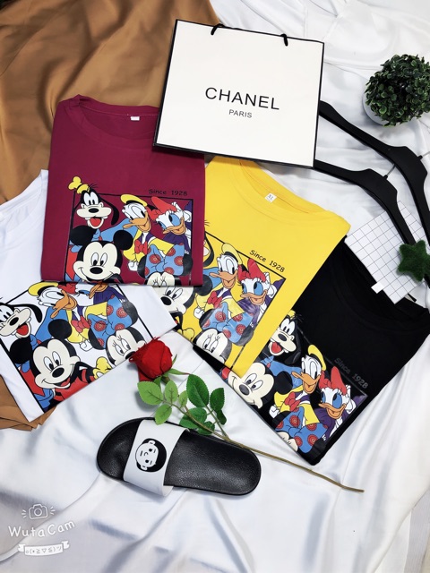 [55] [HÌNH THẬT]áo thun nữ ⚜️FREESHIP⚜️ Thun Nữ Hàng Unisex Phông Nữ Quảng Châu [Thun Nu] | BigBuy360 - bigbuy360.vn