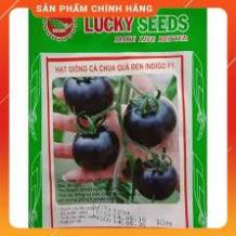 HẠT GIỐNG CÀ CHUA ĐEN LUCKY GÓI 10H