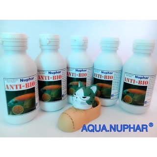 Anti bio nuphar chống nấm, ngừa bệnh cho cá cảnh