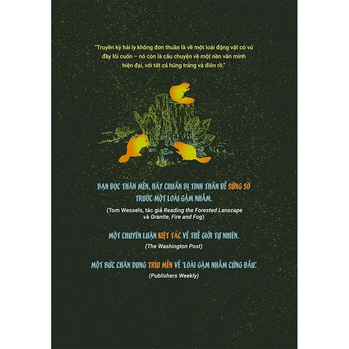 Sách - Đế Chế Hải Ly (Phương Nam)