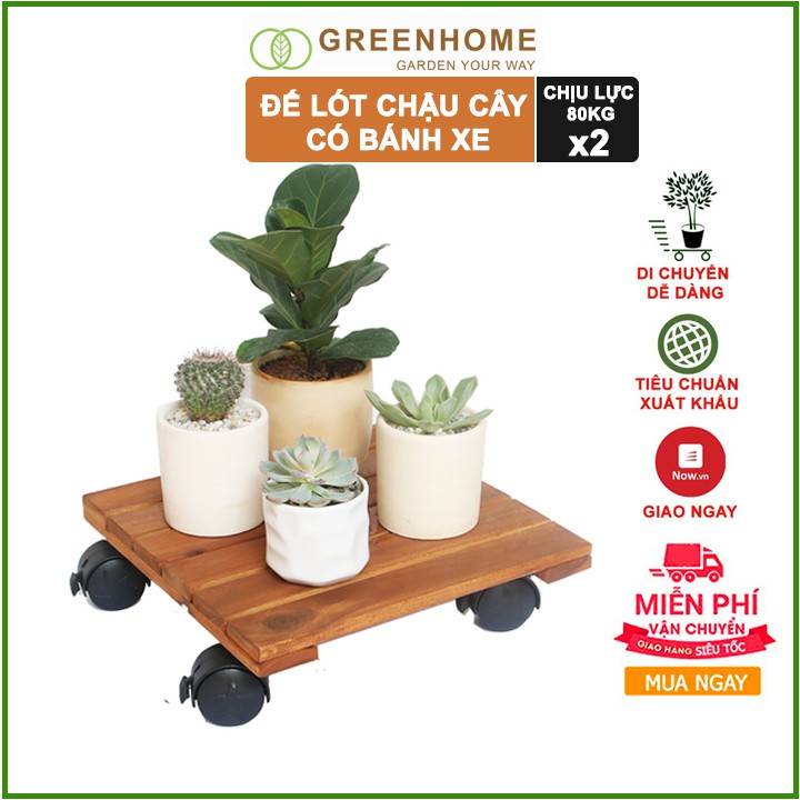 Bộ 2 Đế lót chậu cây có bánh xe, hình vuông, màu nâu, bằng gỗ, chịu lực 80kg, R30xC8cm |Greenhome