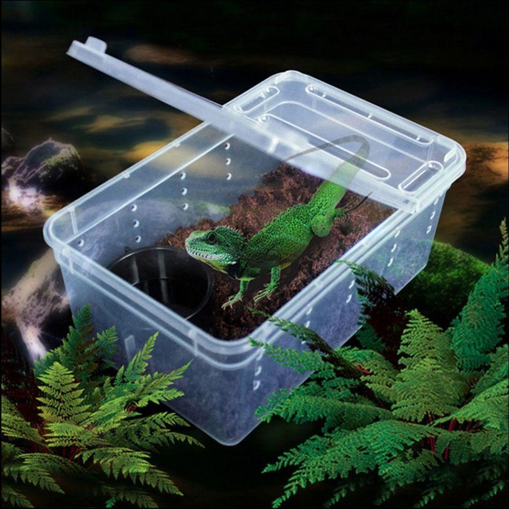 Hộp Đựng Thức Ăn Trong Suốt Thanh Lịch Cho Bò Sát / Thằn Lằn / Nhện / Tắc Kè Hoa
